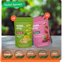 Kurutulmuş Çıtır Çilek & Çıtır Elma 6'lı Paketi Diğer
