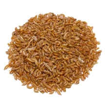 Orijin Gammarus Yem 750 G