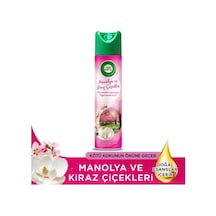 Aerosol Oda Kokusunda Manolya Ve Kiraz Çiçeği Acıbadem