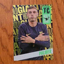 Top Class Holo Giant Palmer Oyun Kartı