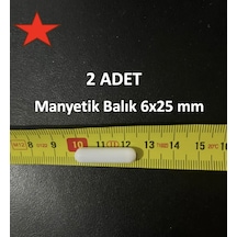 Lab Manyetik Balık 6x25 Mm - 2 Adet