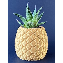3d Baskı Ananas Formlu Saksı Ve Kalemlik Kabartma Dokulu Sukulent Saksısı Masaüstü Bitki Ve Kalem Tu