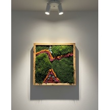 Doğal Yosun Tablosu 65x65