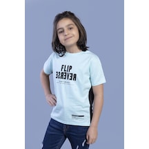Mint Yeşili