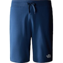The North Face M STANDARD SHORT LIGHT-EU Erkek Şort NF0A3S4EHDC1