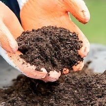 Torf Süper Toprak Organik Gübre, Soluncan Gübresi 10 Litre