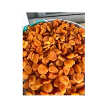 Sarı Kayısı 1000gr Diğer