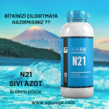 1 LT