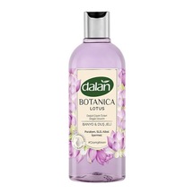 Lotus Çiçeği