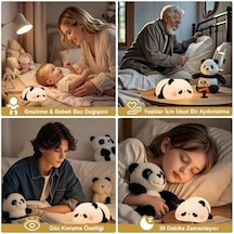 Dokunmatik Silikon Panda Gece Lambası/gt-cl17 .