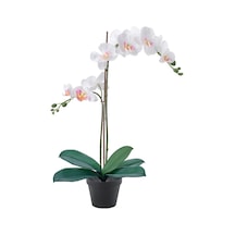 Ikea Fejka Yapay Bitki 12 Cm Beyaz