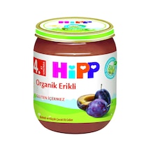 Hipp Organik Erik Püresi 125 G - 8 Adet Tarı