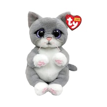 Morgan-cat Gray Belly Med