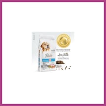 Gees Global Hypoallergenic Medium Large Somonlu Düşük Tahıllı Yetişkin Köpek Maması 15 Kg Gbzs
