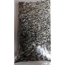 PAPAĞAN PARAKET ALACA ÇEKİRDEK 500 GR