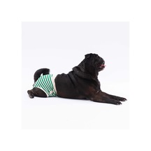 Yeşil Çizgili Kedi-köpek Çamaşırı Regl Kilodu Kedi-köpek Kıyafeti Green Striped Underwear