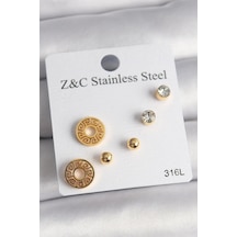 316l Çelik Gold Renk Zirkon Taşı Labirent Model Kadın Küpe Seti Diğer