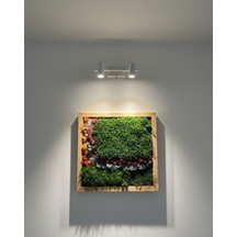 Doğal Yosun Tablosu 50x50
