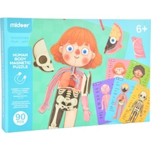 Mideer - Vücut Mıknatısı Çok Renkli