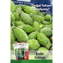Hıdır Kavun Tohumu 20 Adet