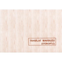 Dılman Tahsılat Makbuzu Otokopılı 2 Nusha