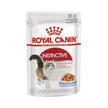 Tr İnstinctive Jelly Pouch Yaş Kedi Maması, 85 Gr X 12 Adet