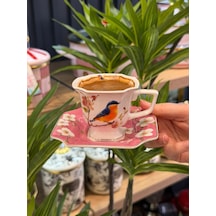 6 Kişilik Porselen Lavin Bird Pink Kahve Fincanı -5909 Pembe