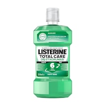Listerine Diş Eti Koruması Hafif Nane Ağız Bakım Suyu 250 ML