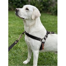 Köpek Göğüs Tasması Orta Irk Ayarlamalı Önden Ve Sırttan Çekmeli Kolon Kordon Siyah