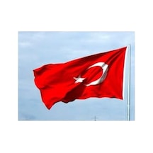 40x60 Cm Ölçülerinde Kullanışlı Ürün 1000 x 1500 CM