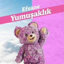 Extra Konsantre Çamaşır Yumuşatıcısı Şakayık 1440 Ml 1000'li Set