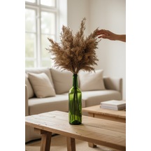 Doğal Pampas Otu Demeti 5 Li Yeşil Vazolu Set, 50 Cm Dekoratif Kurutulmuş Bitki Çok Renkli