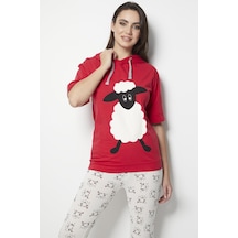 Miorre Kadın Doremi Pijama Takımı 001