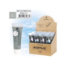 Maries Akrilik Boya 75 Ml Silver Gümüş 815-121 Çok Renkli
