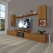 Ceviz