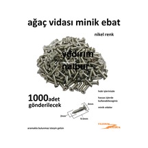 Ağaç Vidası Nikel Renk Hobi Vidası 1000 Adet Minik Kutu Vidası