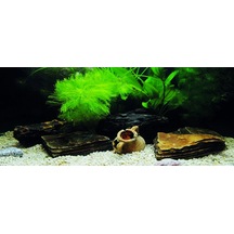 Kanki Pet Kp1556533 Akvaryum Arka Fon Yapıştırma 155 X 65 Cm