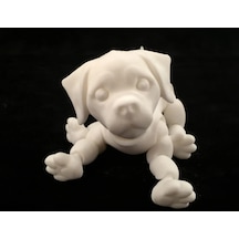 3d Eklemli Yavru Köpek
