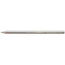 Faber Castell Polychromos Artist Kuru Boya Kalemi 251 Silver