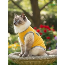 Sarı The Boss Patron Yazılı Kedi Ve Köpek Kıyafeti Tişörtü Elbisesi Xsmall/xs/beden 0