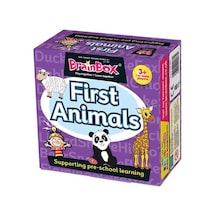Brainbox İlk Hayvanlarım first Animals - İngilizce