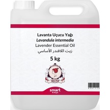 Elito Lavanta Uçucu Yağı Lavandula İntermedia 5 KG