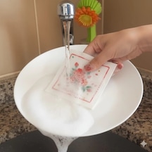 Suda Büyüyen Sünger Renkli