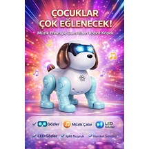 Dans Eden Sesli Işıklı Robot Köpek Eğitici Müzikli Dans Eden Sesli Işıklı Robot Köpek Mavi
