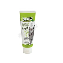 2 Adet Jungle Kedi Macunu Bağışıklık Deri Tüy Sağlığı 75 Ml