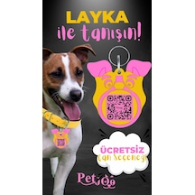 Petjoo 22.Layka Pembe-Sarı Qr'lı Köpek Künyesi