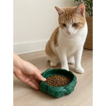 Eko Form Model Beton Kedi Köpek Mama Ve Su Kabı 16cm 16cm 5.5cm - Yeşil