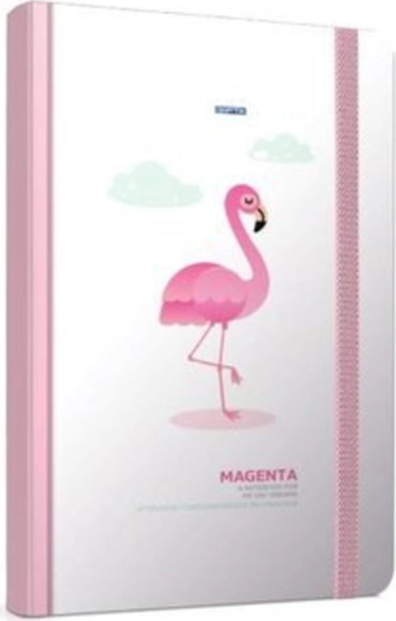 Magenta 13x21cm Sert Kapak 120 Yaprak Çizgili Defter 34185 Nocolor-53f88c70