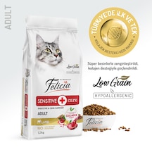 Felicia Hypoallergenic Düşük Tahıllı Kuzu Etli Yetişkin Kedi Maması 12 KG