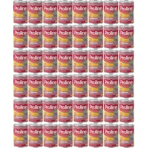 Pro Line Somonlu Yetişkin Kedi Konservesi 48 x 400 G